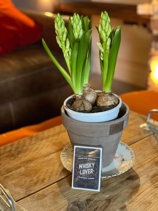 The Walled Garden At Cheshire Boutique Bathhouse 南特威奇 外观 照片